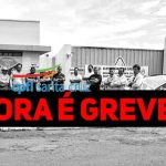 Greve22