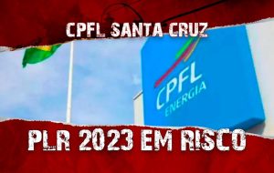 Plr (Copy)